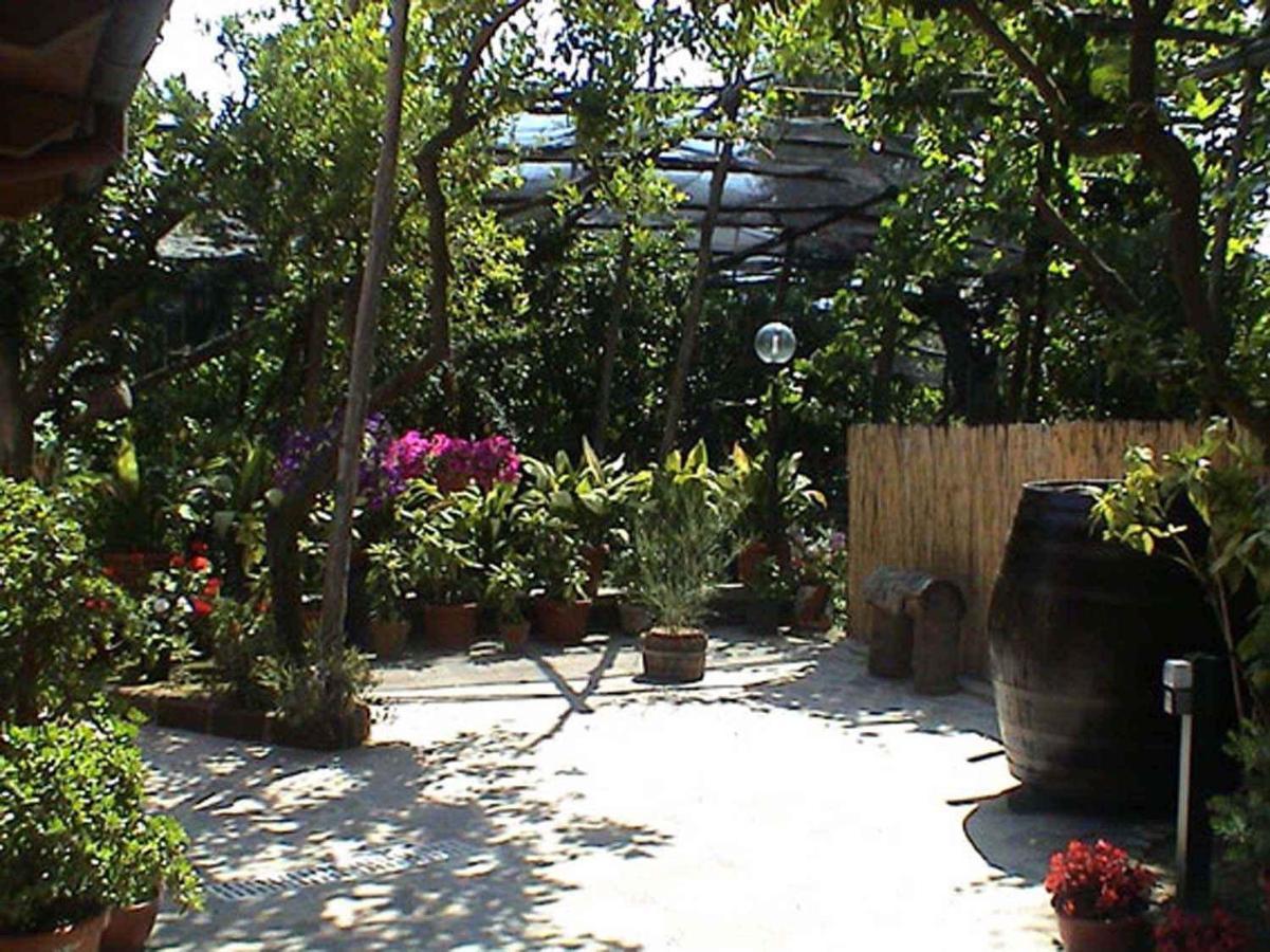 Apartment 3 Sorrento