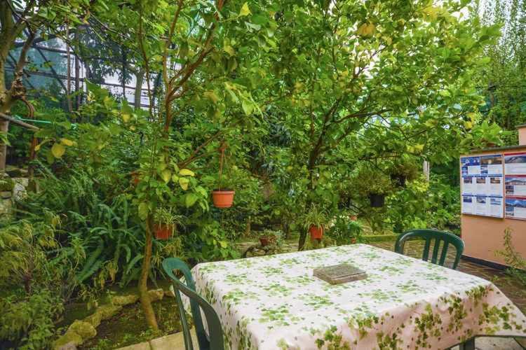 3 Sorrento