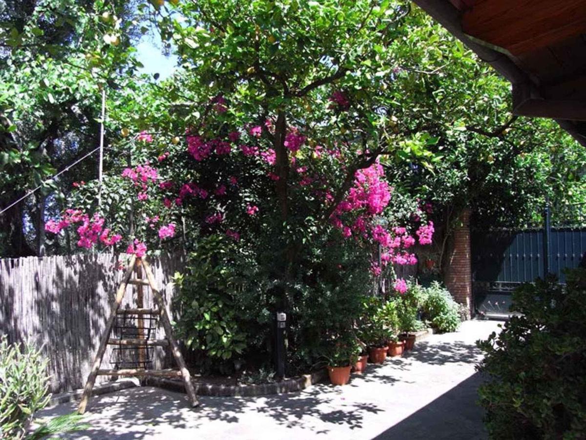 3 Apartment Sorrento