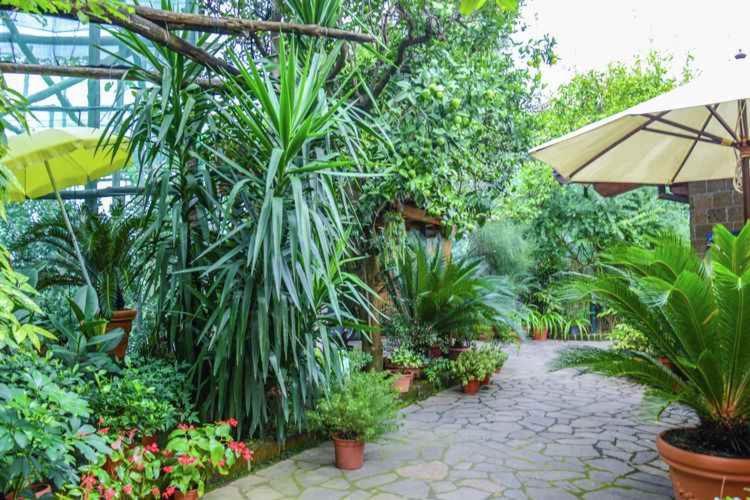 3 Apartment Sorrento